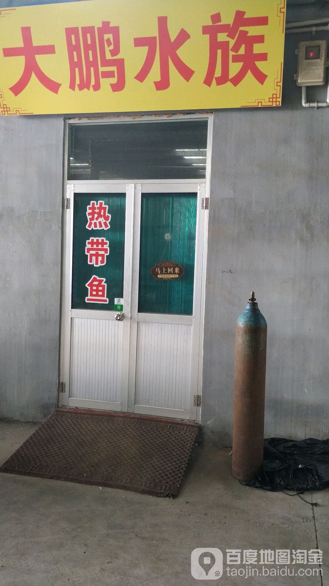 大鹏水族