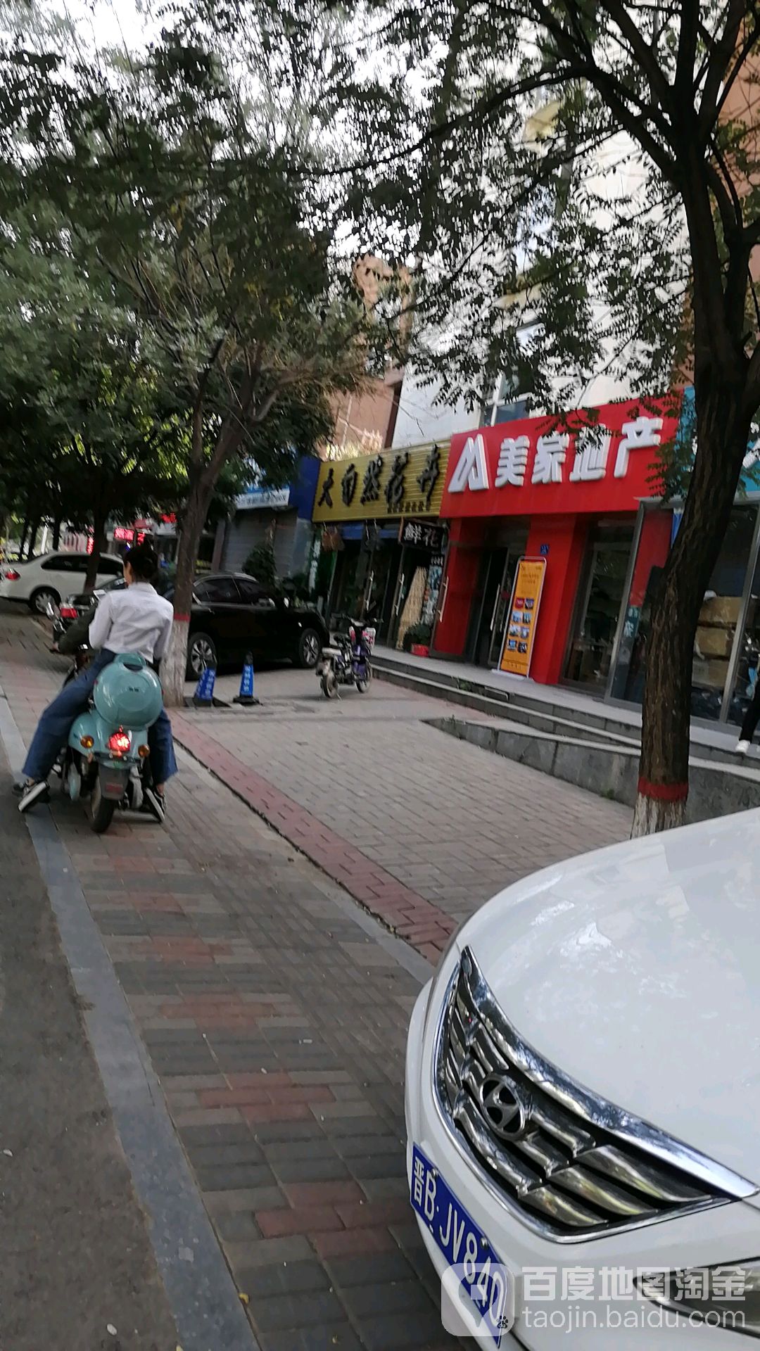 大自然花卉