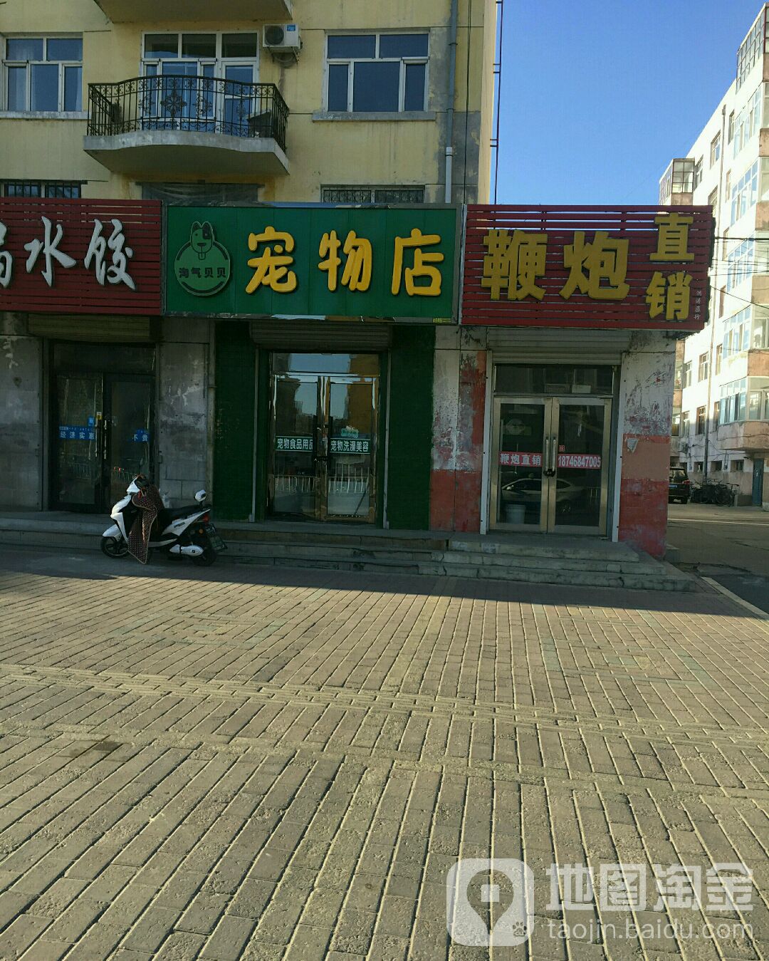 淘气北碚宠物店