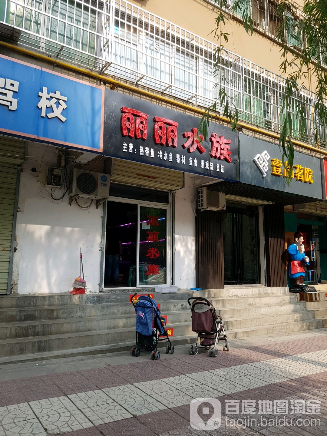 丽丽水族
