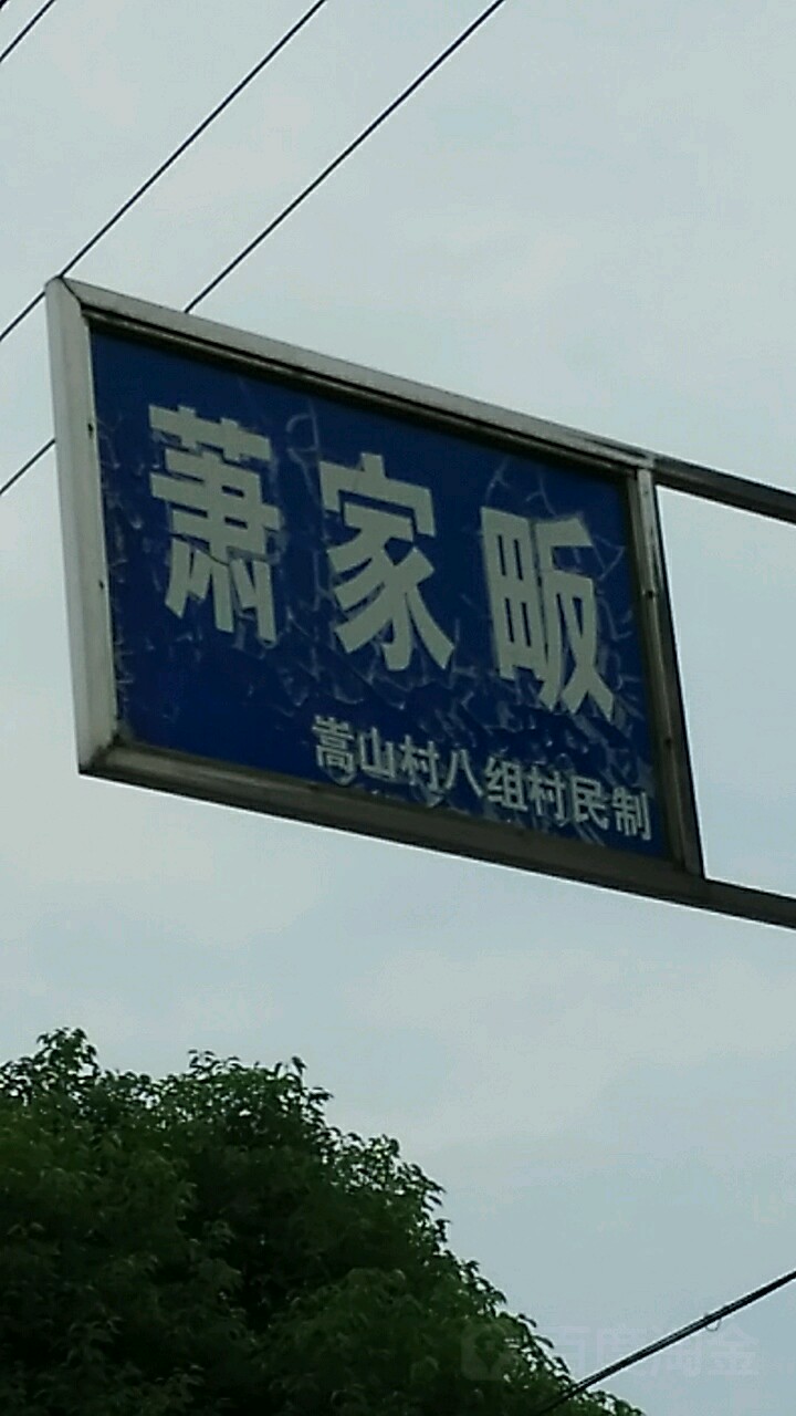 萧家埦1