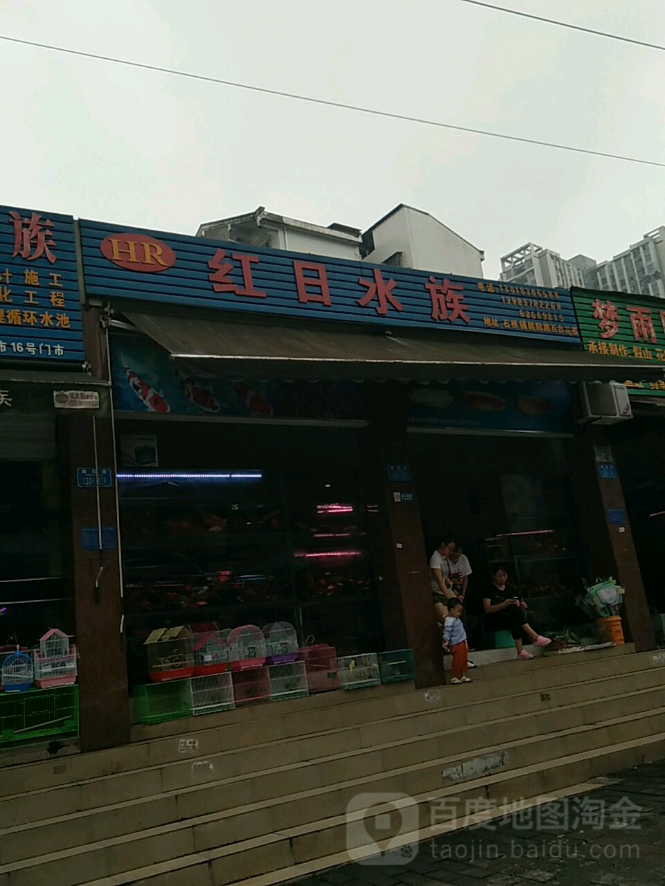 红山水族(南华街店)