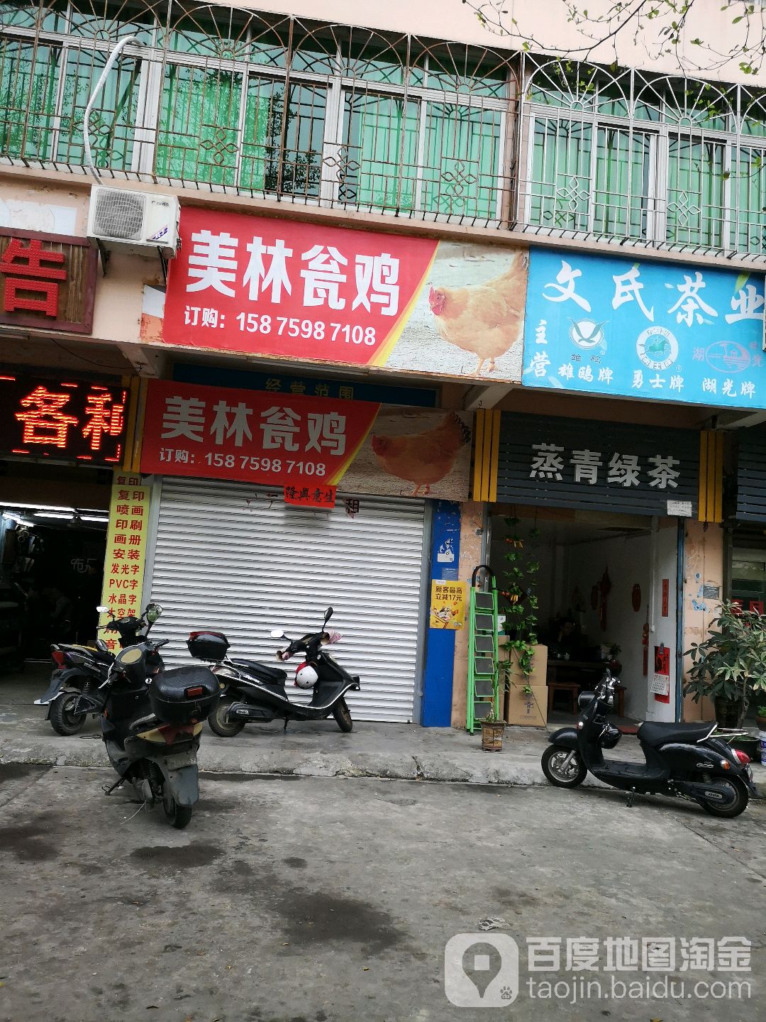 蒸青绿茶/徐闻特产雄鸥勇士绿茶(海滨东四路店)