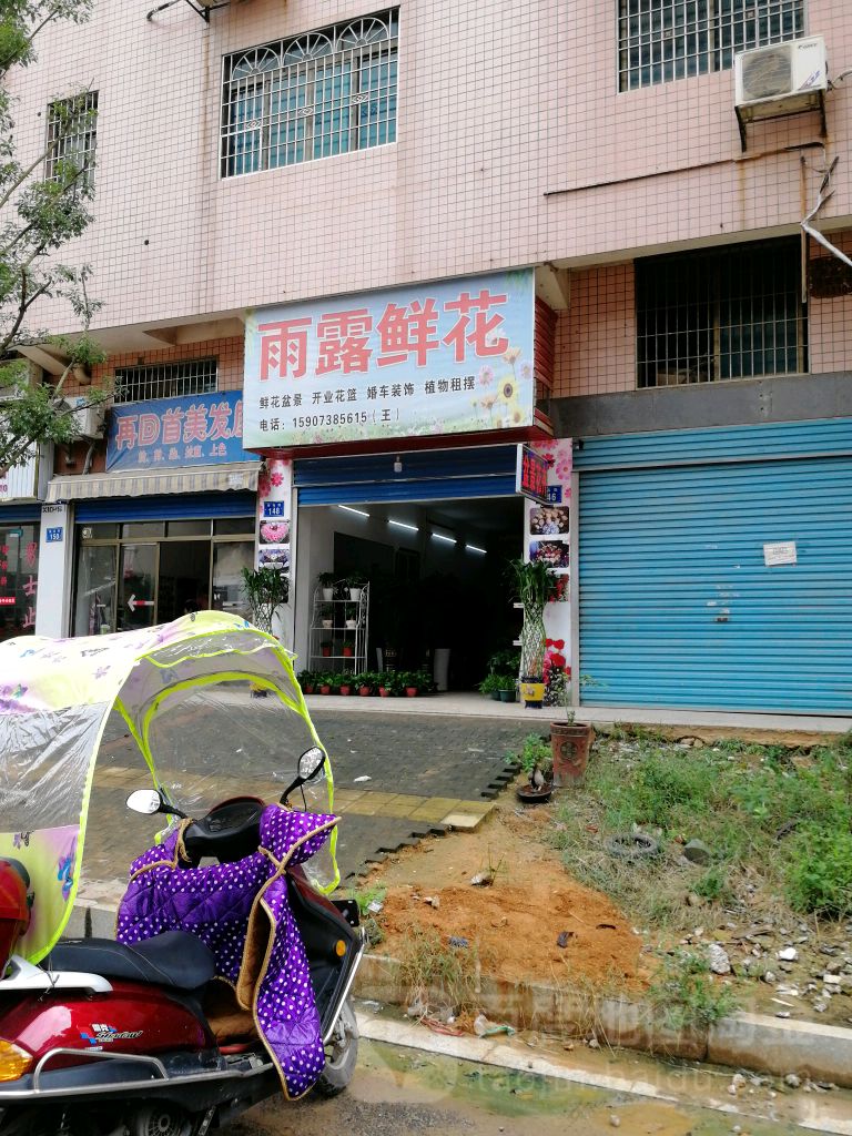 雨露鲜花