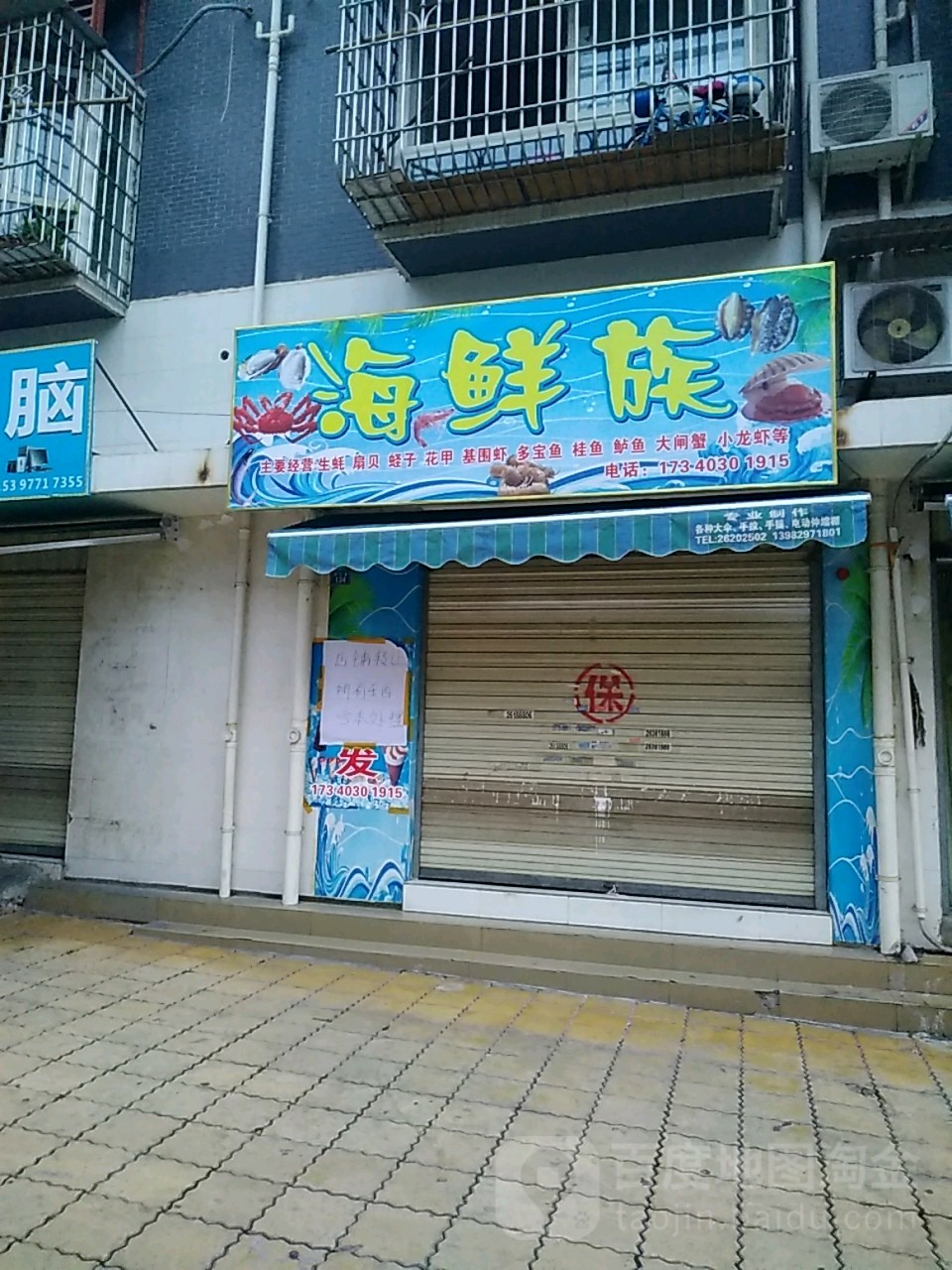 海先族