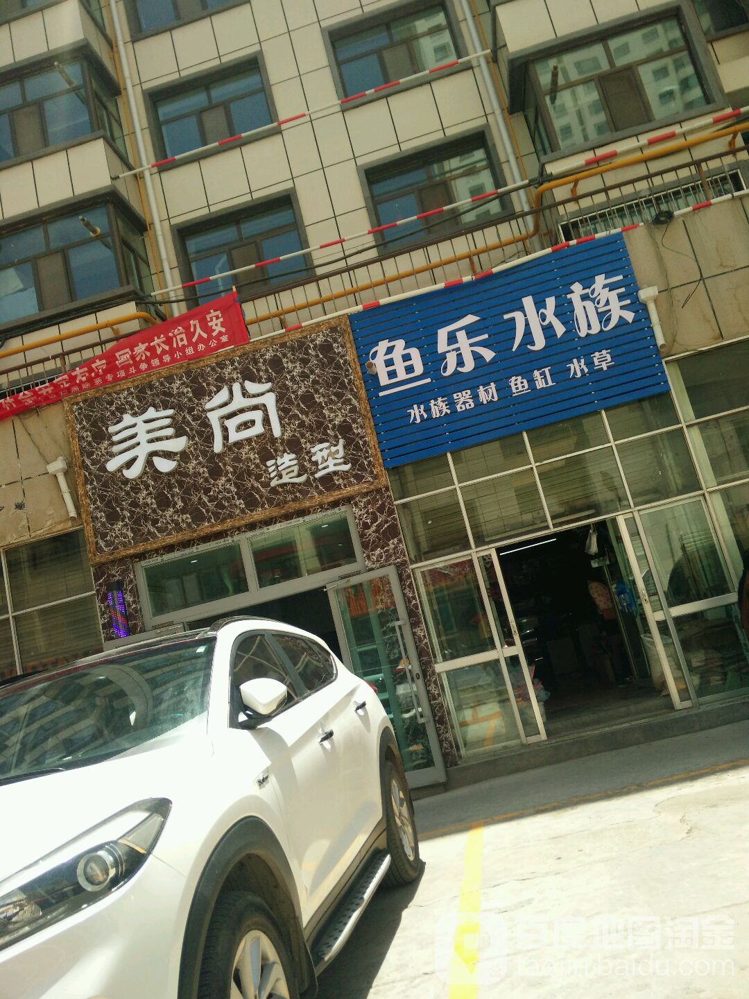 鱼乐水族(莫家街店)