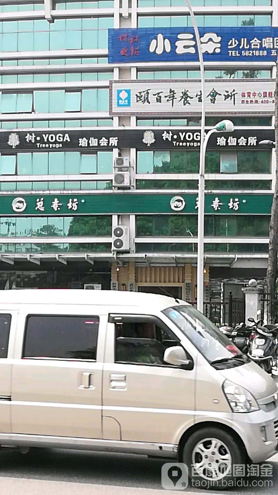 树YOGA瑜伽会s