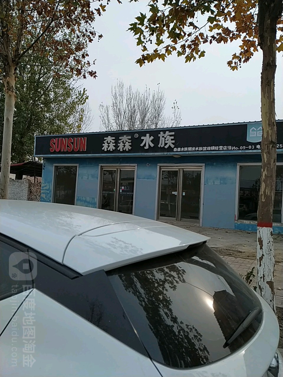 sen森水族(爱民街店)