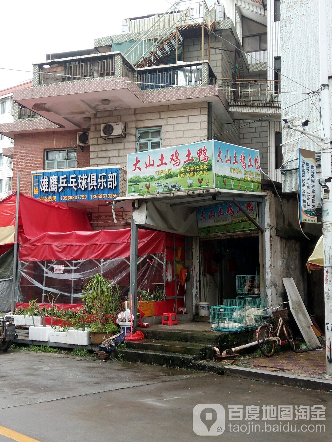 雄鹰乒乓球。俱乐部