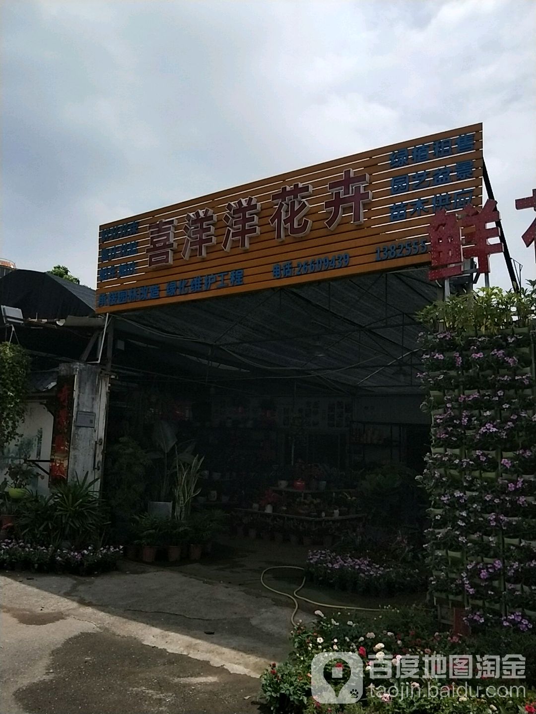 喜洋洋花卉(林港路店)