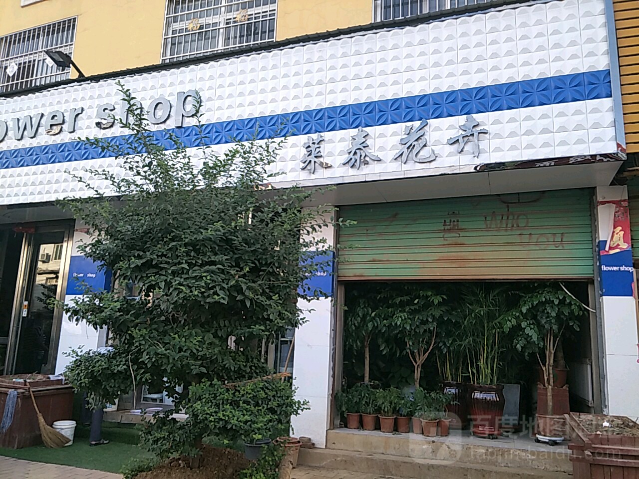 唐河县莱泰花卉店