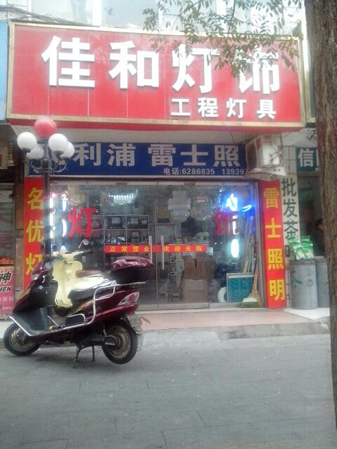 佳和灯饰(新华路东段店)