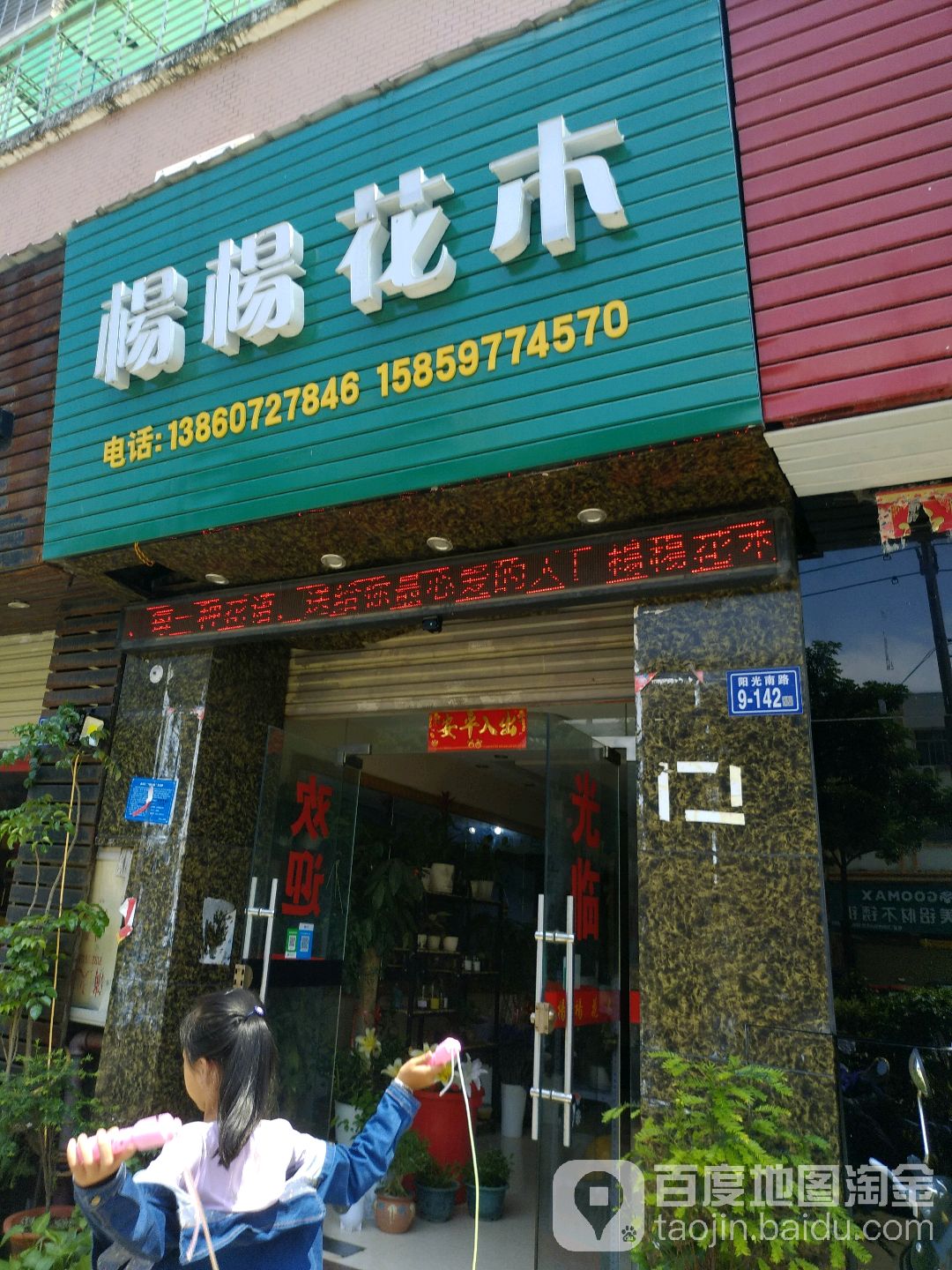 杨杨花木