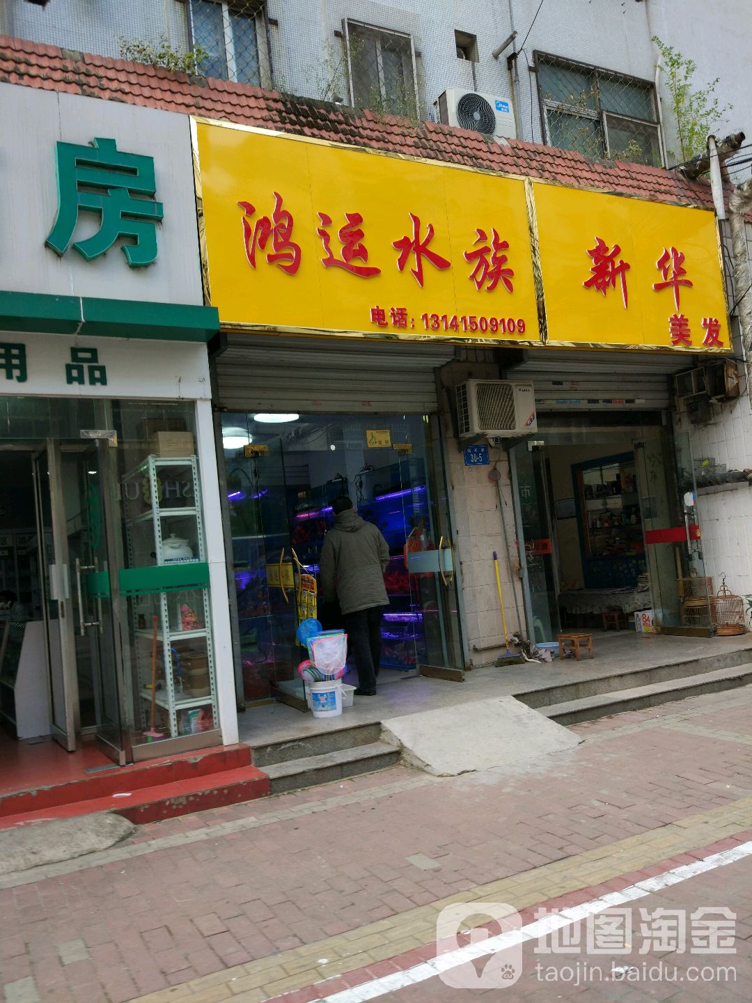 红纭水族(青年路店)