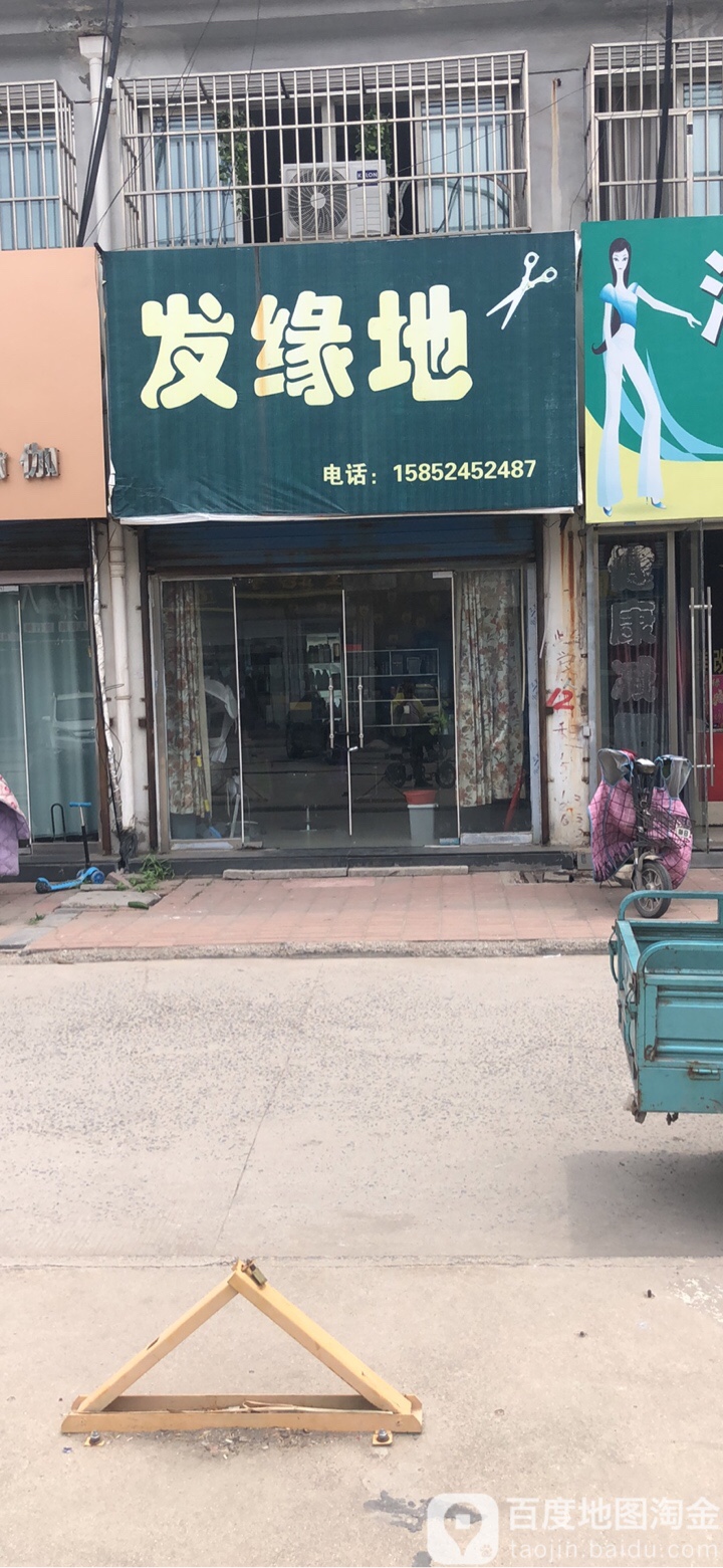 发缘地(江苏路店)