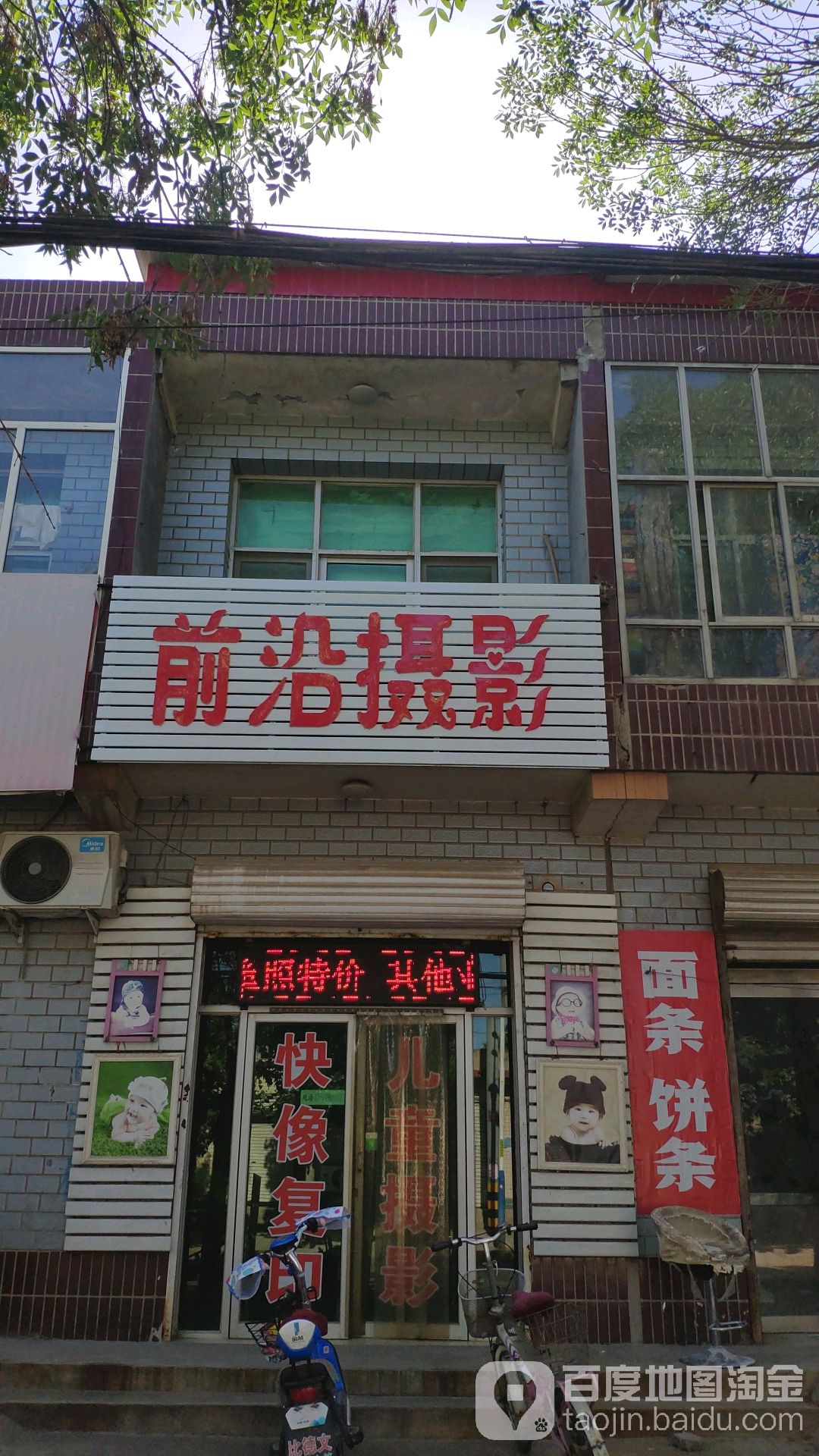 前沿舌蝇