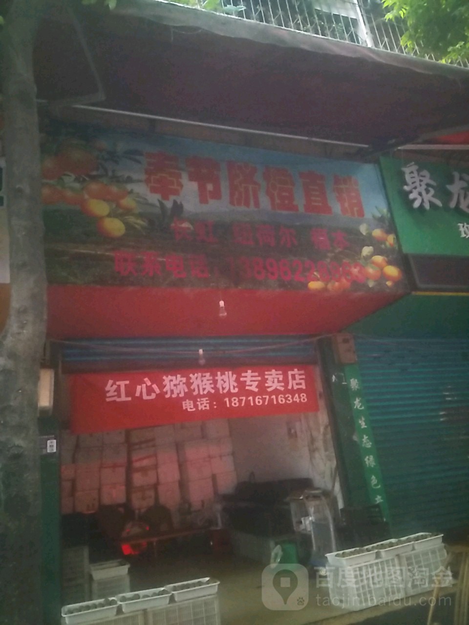 奉节脐橙直销