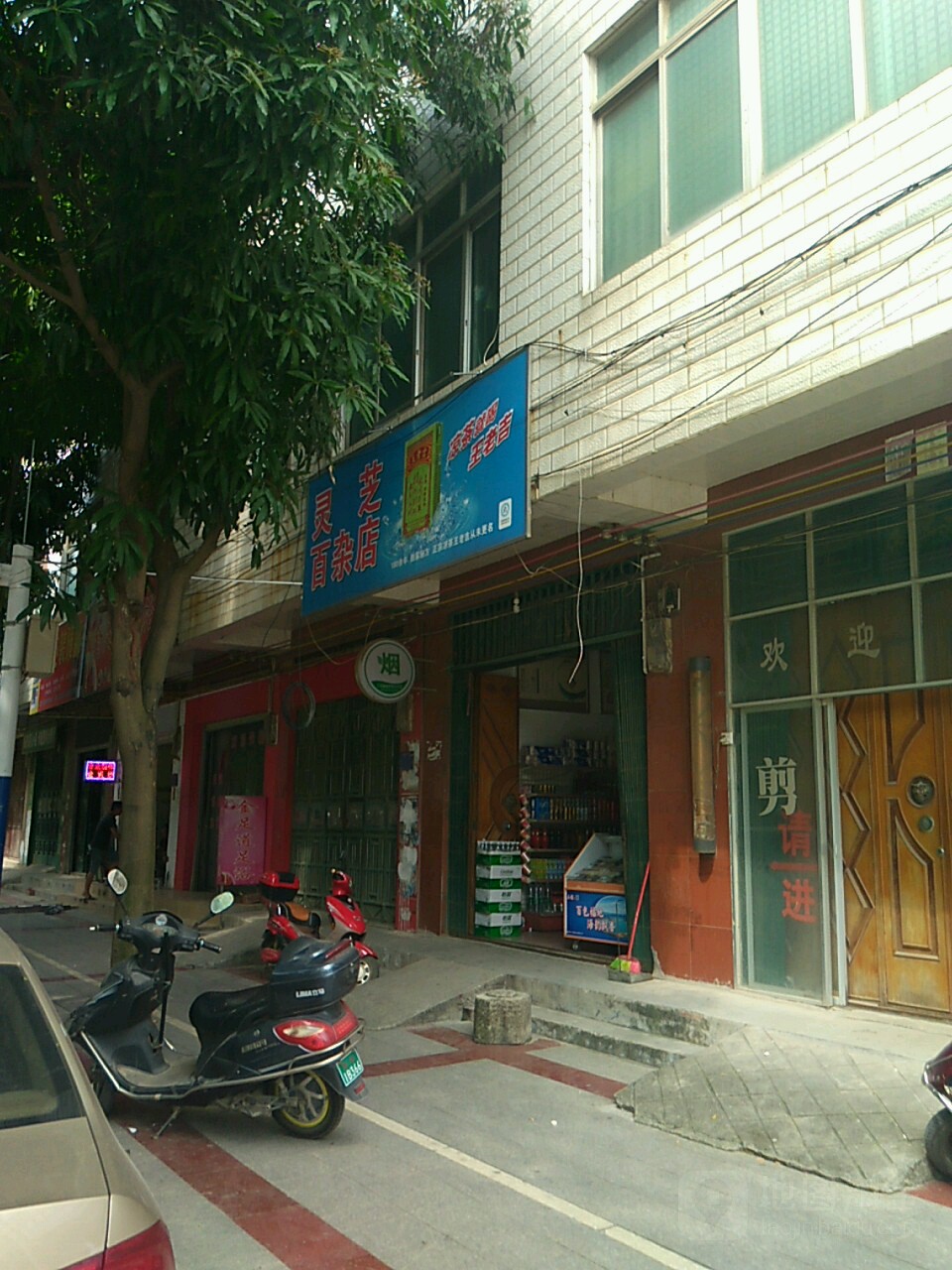 灵芝百货店