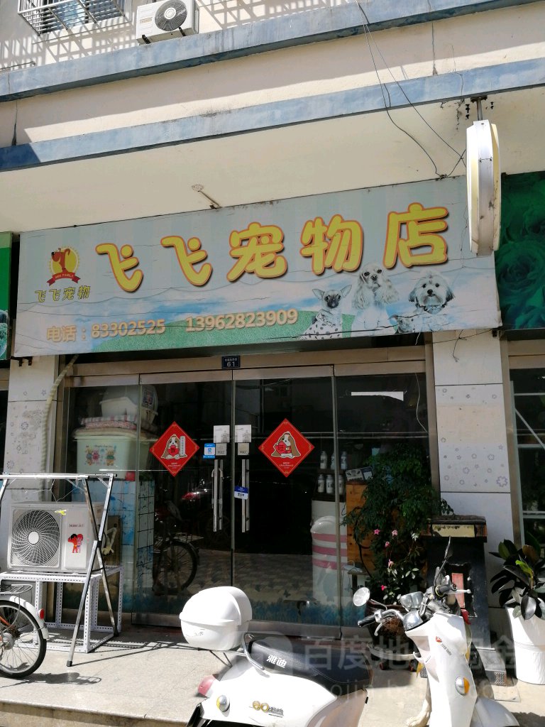 飞飞宠物店