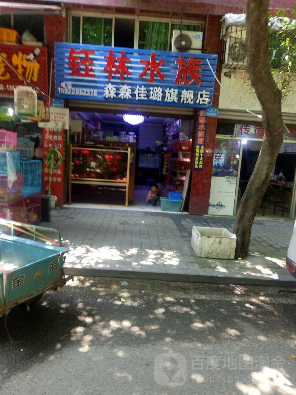 钰林水族(森森佳璐旗舰店)