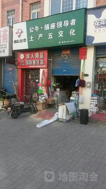 公牛插座领导者土产五交化(研发路店)