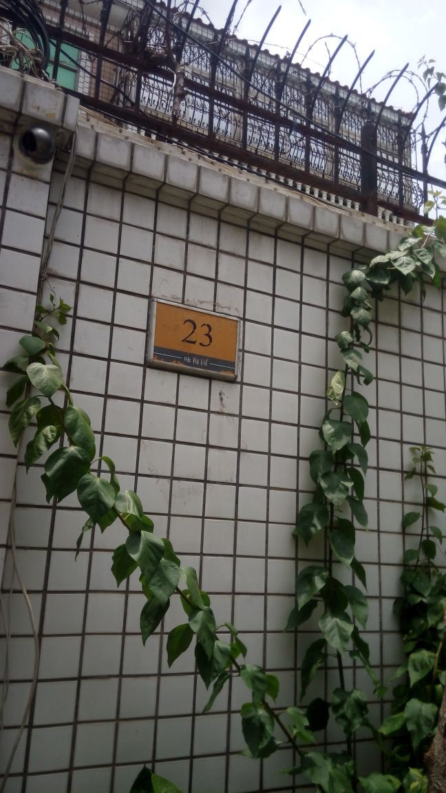 地址(位置,怎么去,怎么走):  深圳市龙华区民旺路梅花山庄咏梅园23栋