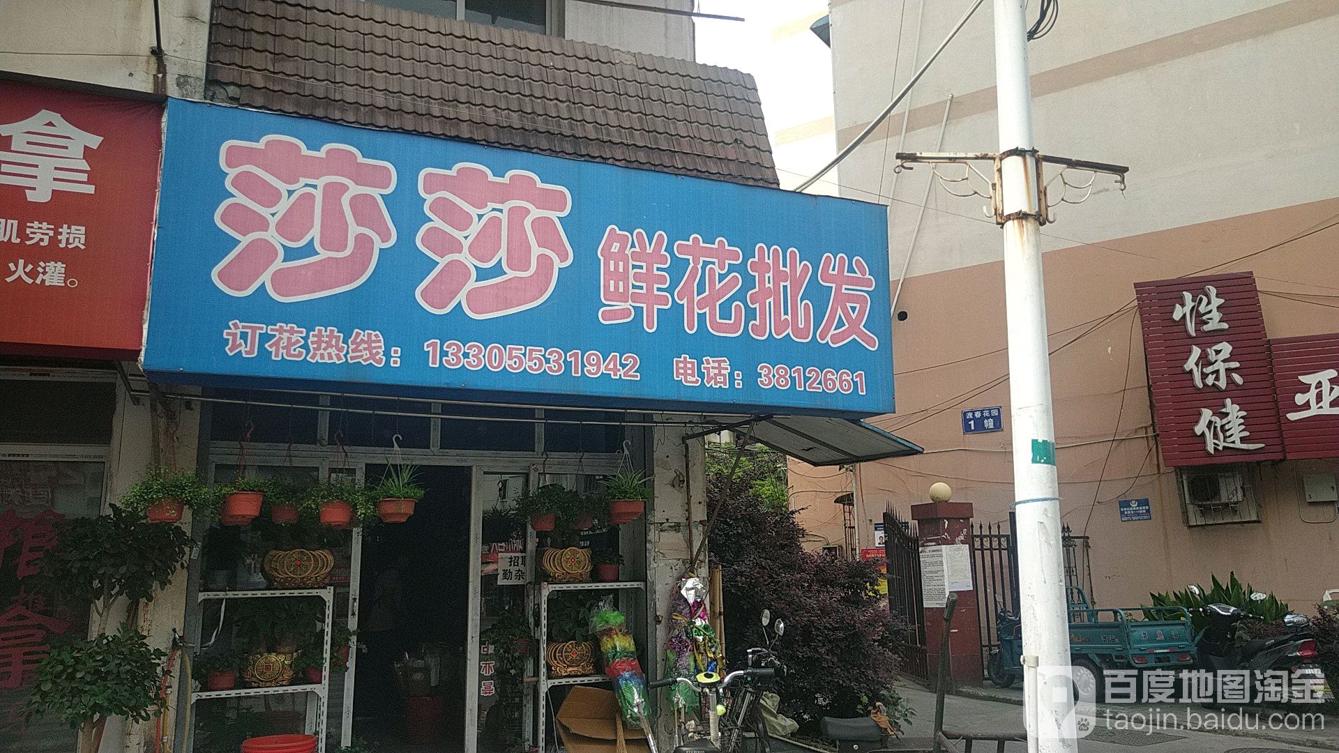 莎莎鲜花批发