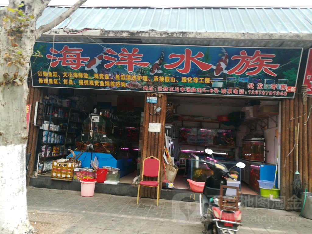 海洋族馆(永兴路店)