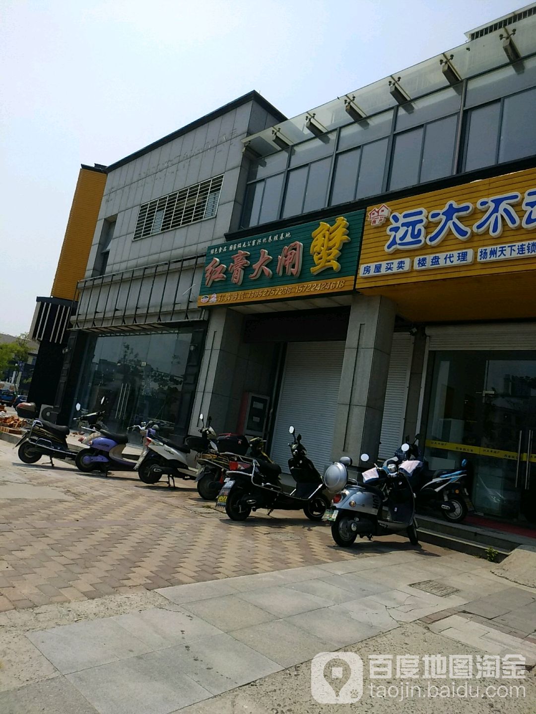 兴化红膏大甲蟹(杨柳青路店)
