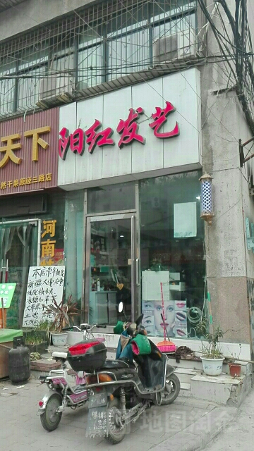 阳红发艺