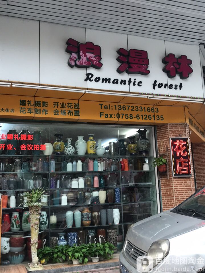 浪漫林鲜花店(府前街店)