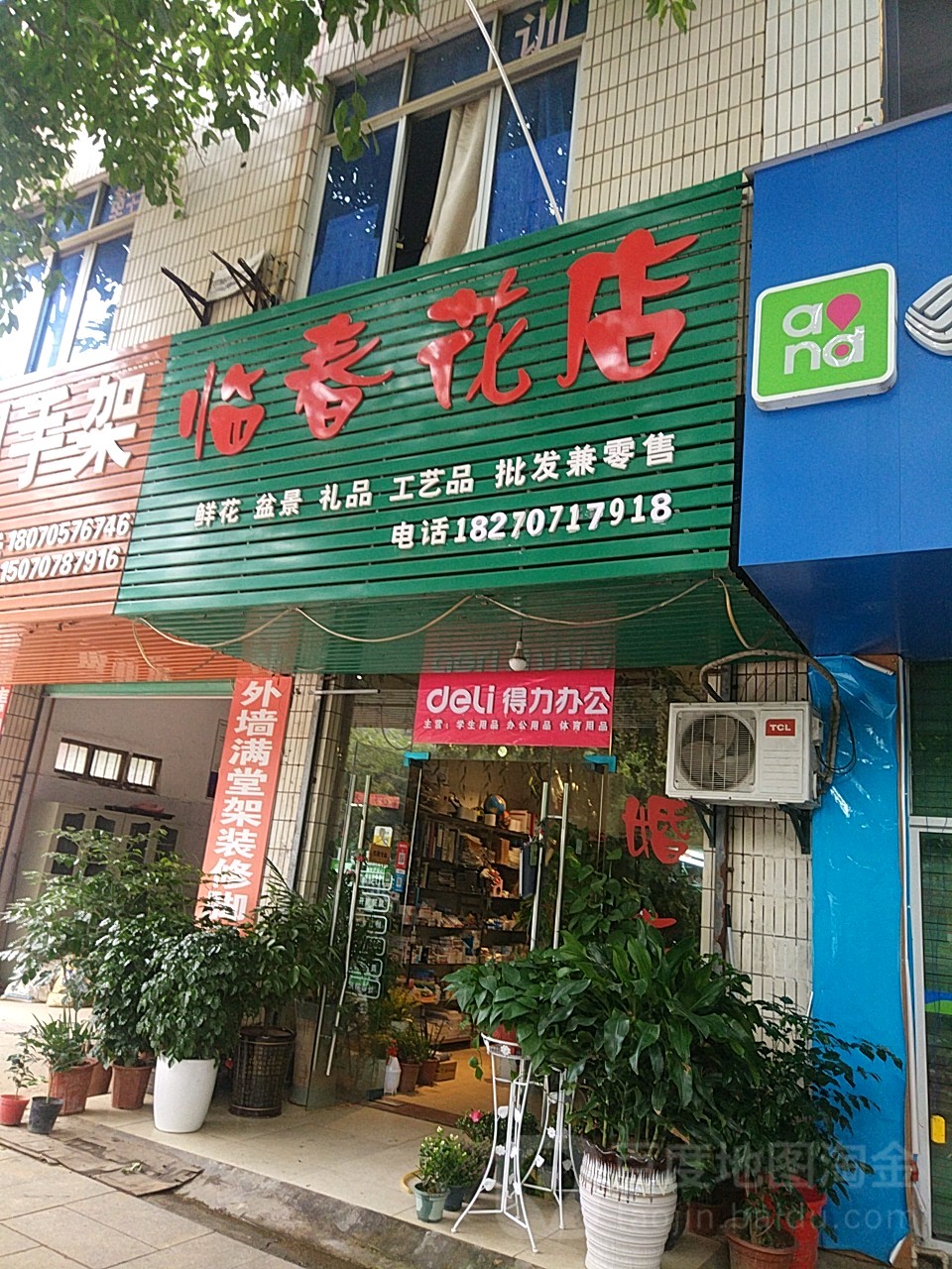 临春花店