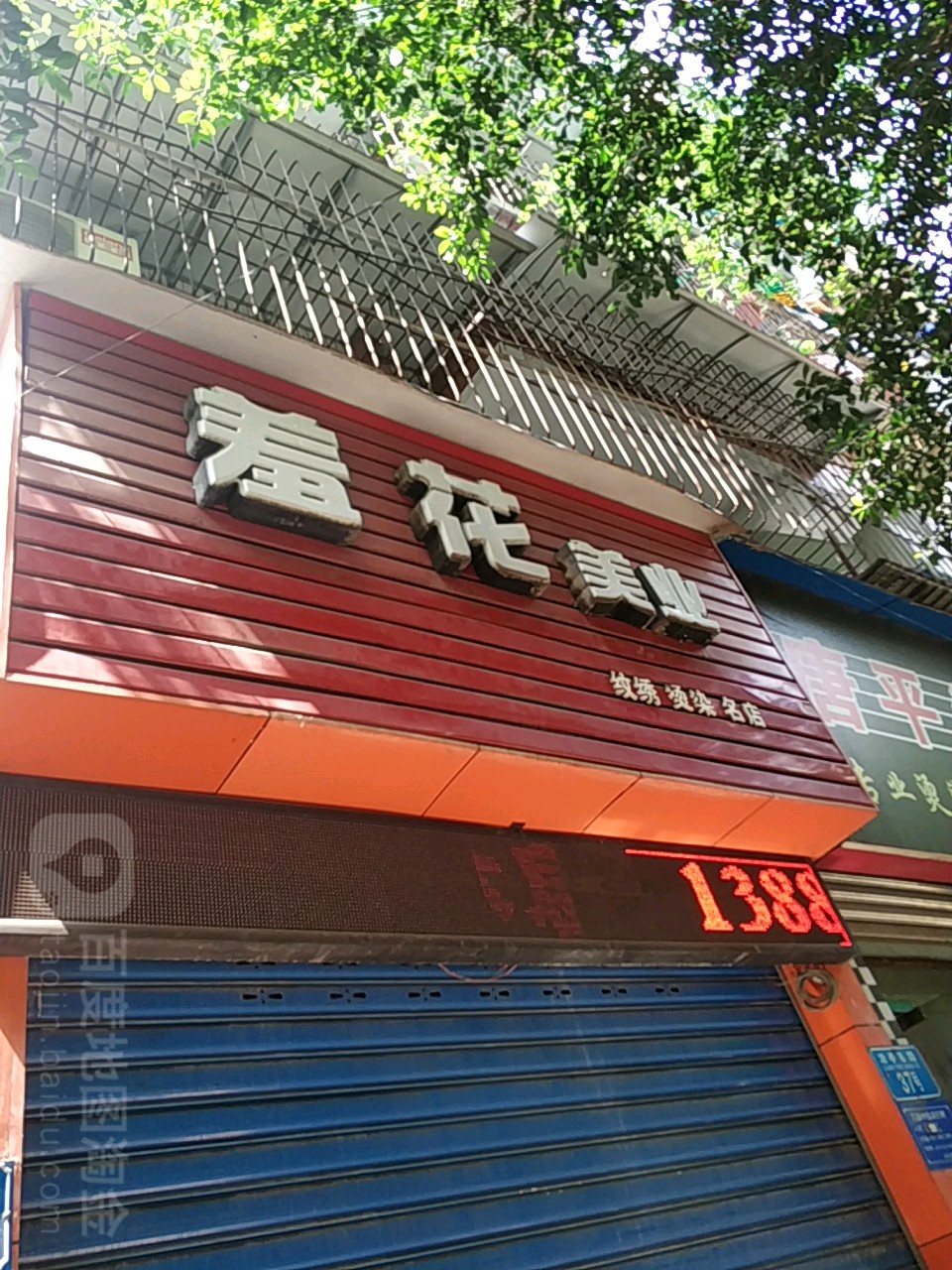羞花美乐