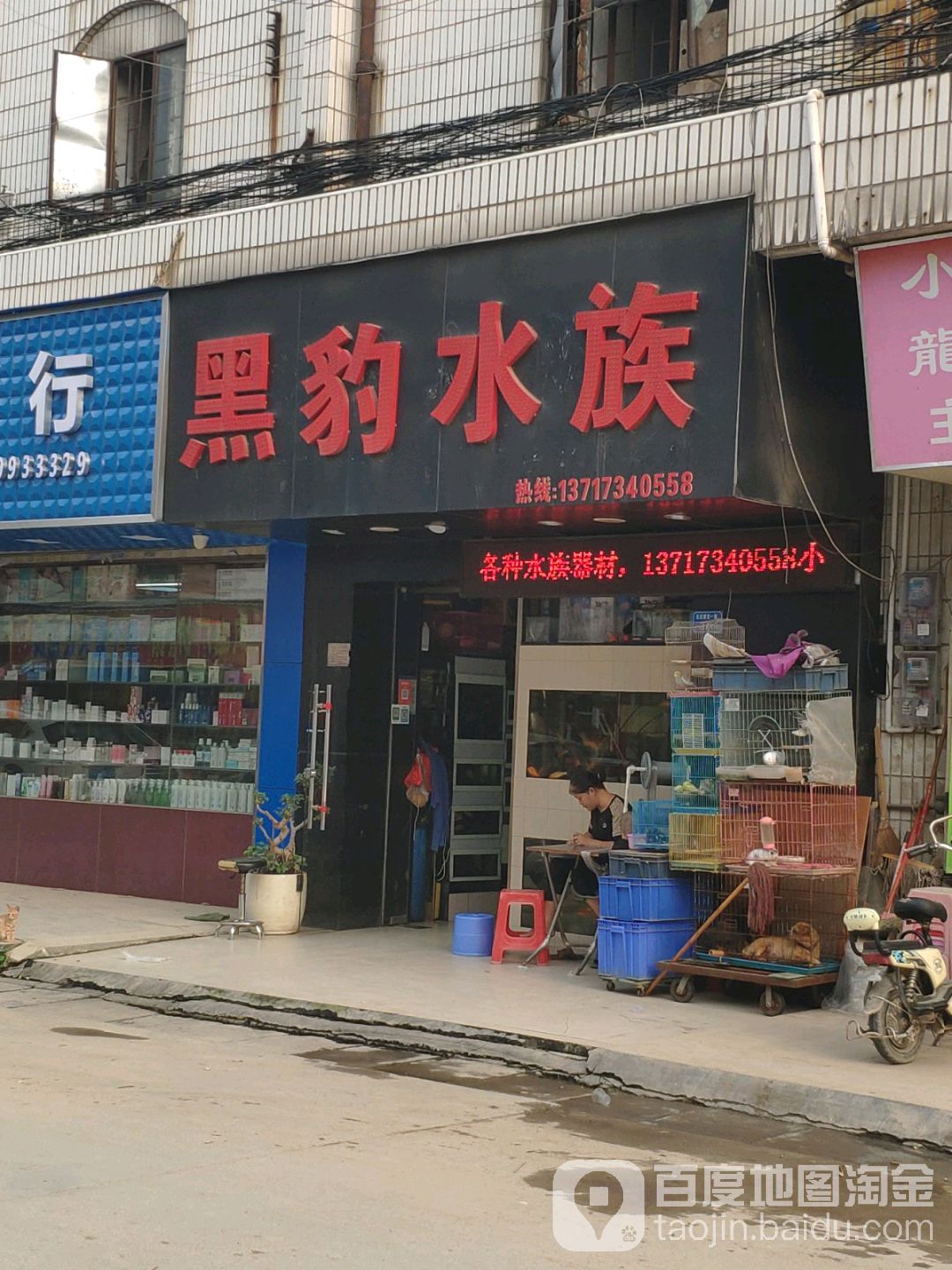 黑豹水族