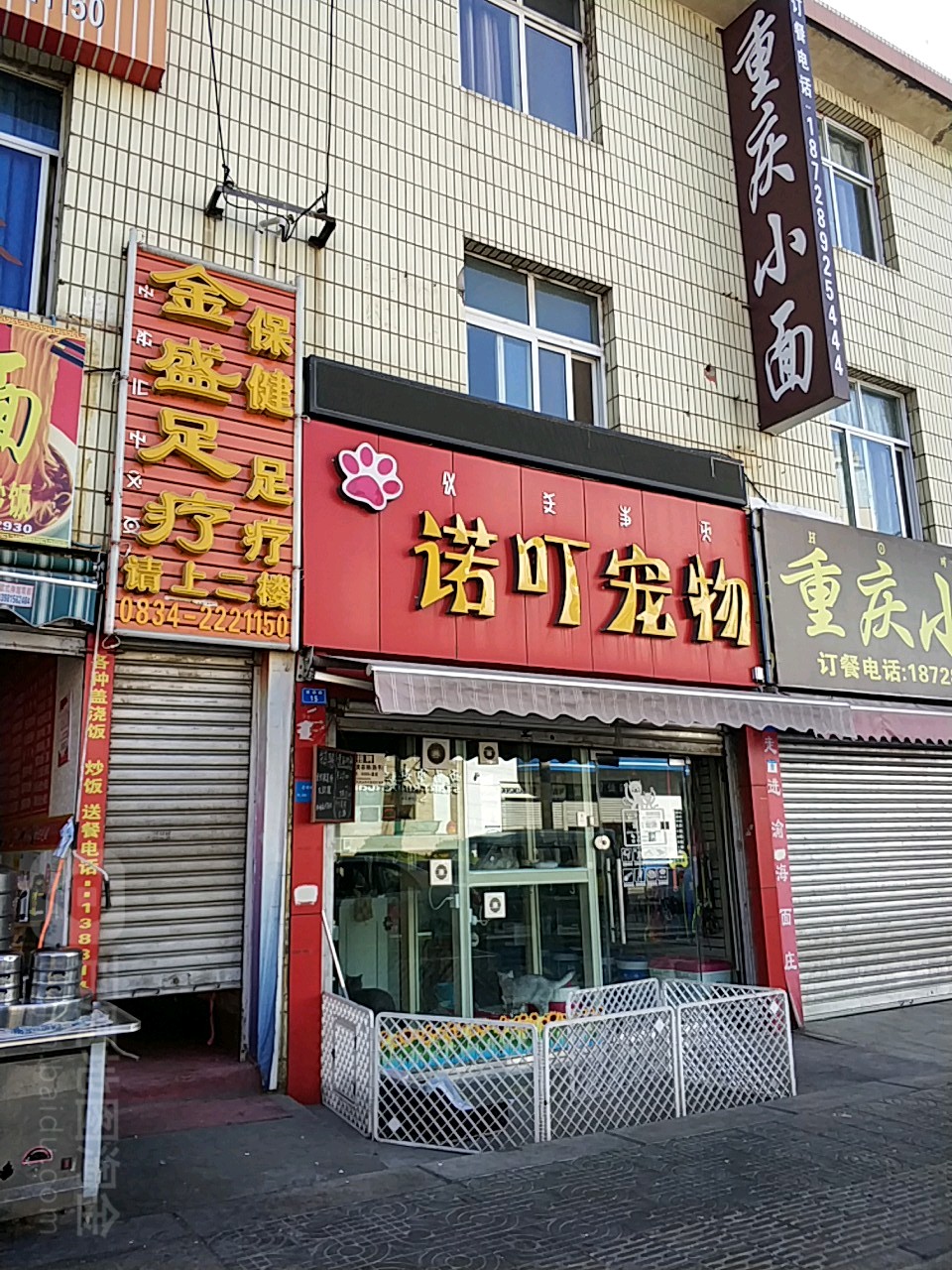 诺叮宠物