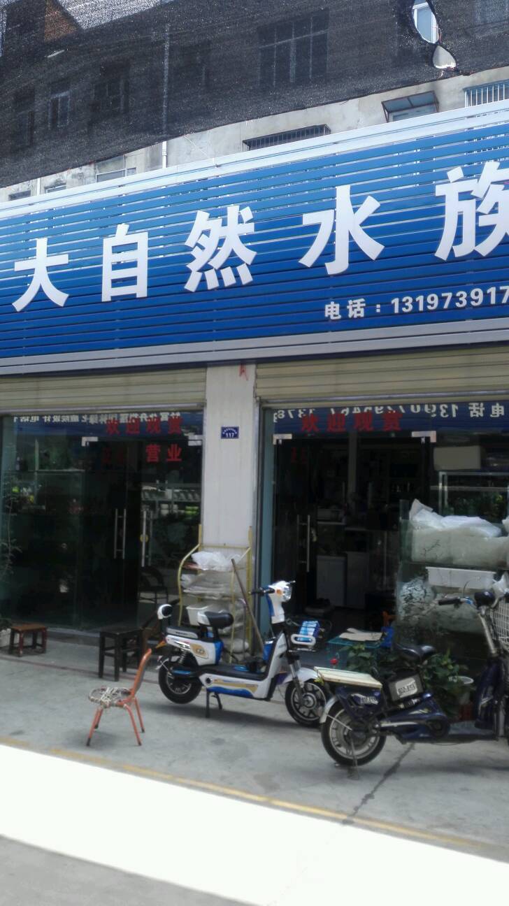 大区自然水族(熊咀二路店)