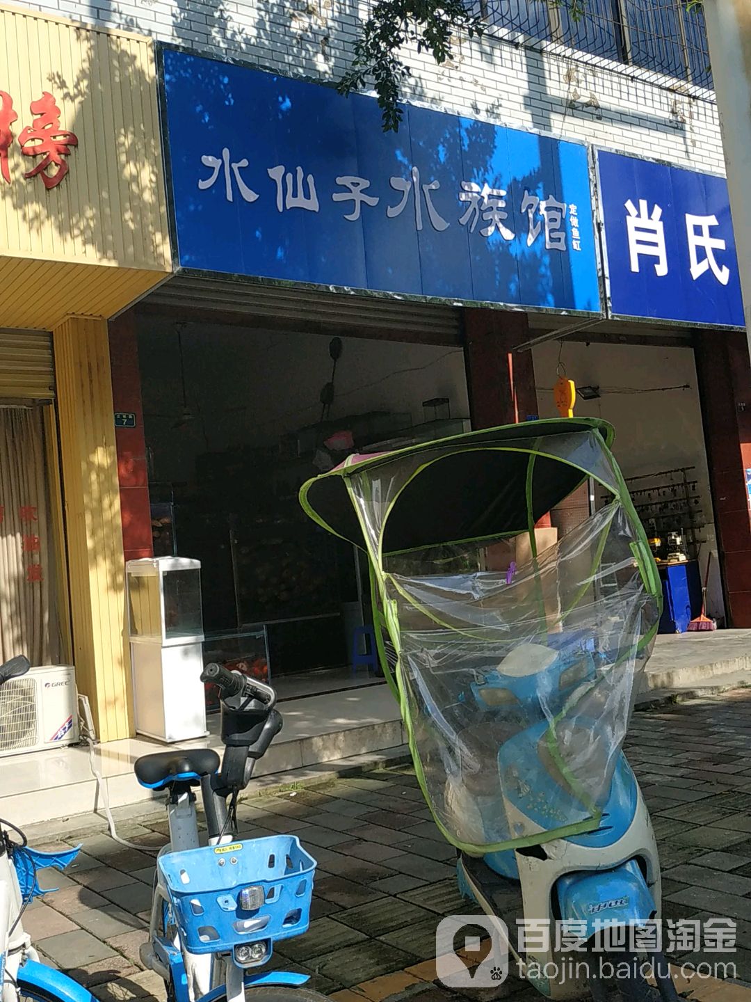 水仙子水族馆(巨龙小区店)