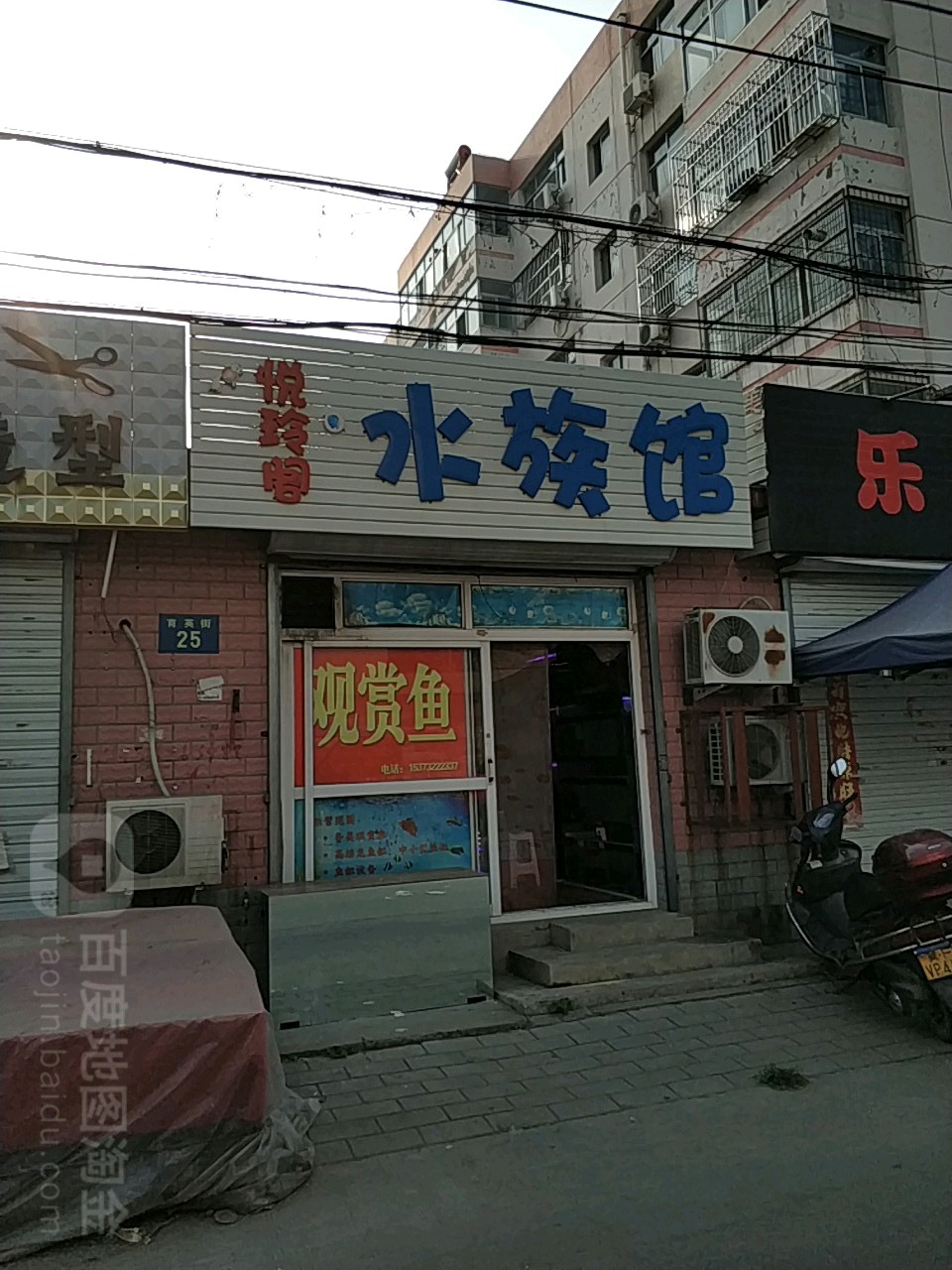 悦玲阁水族馆(槐林新村住宅小区店)