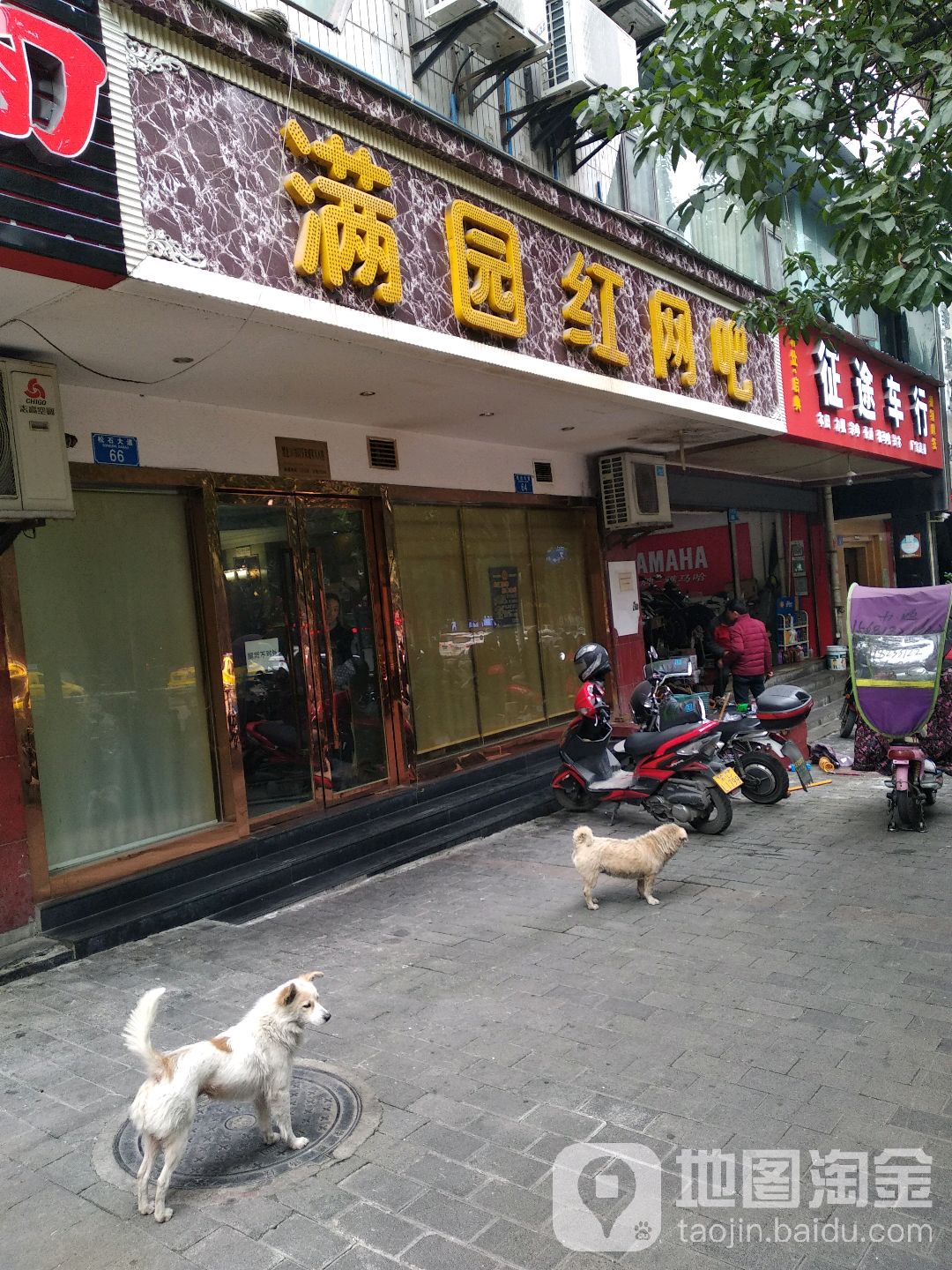 满园红网吧