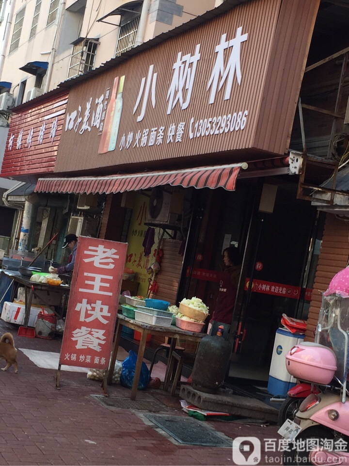 小树林