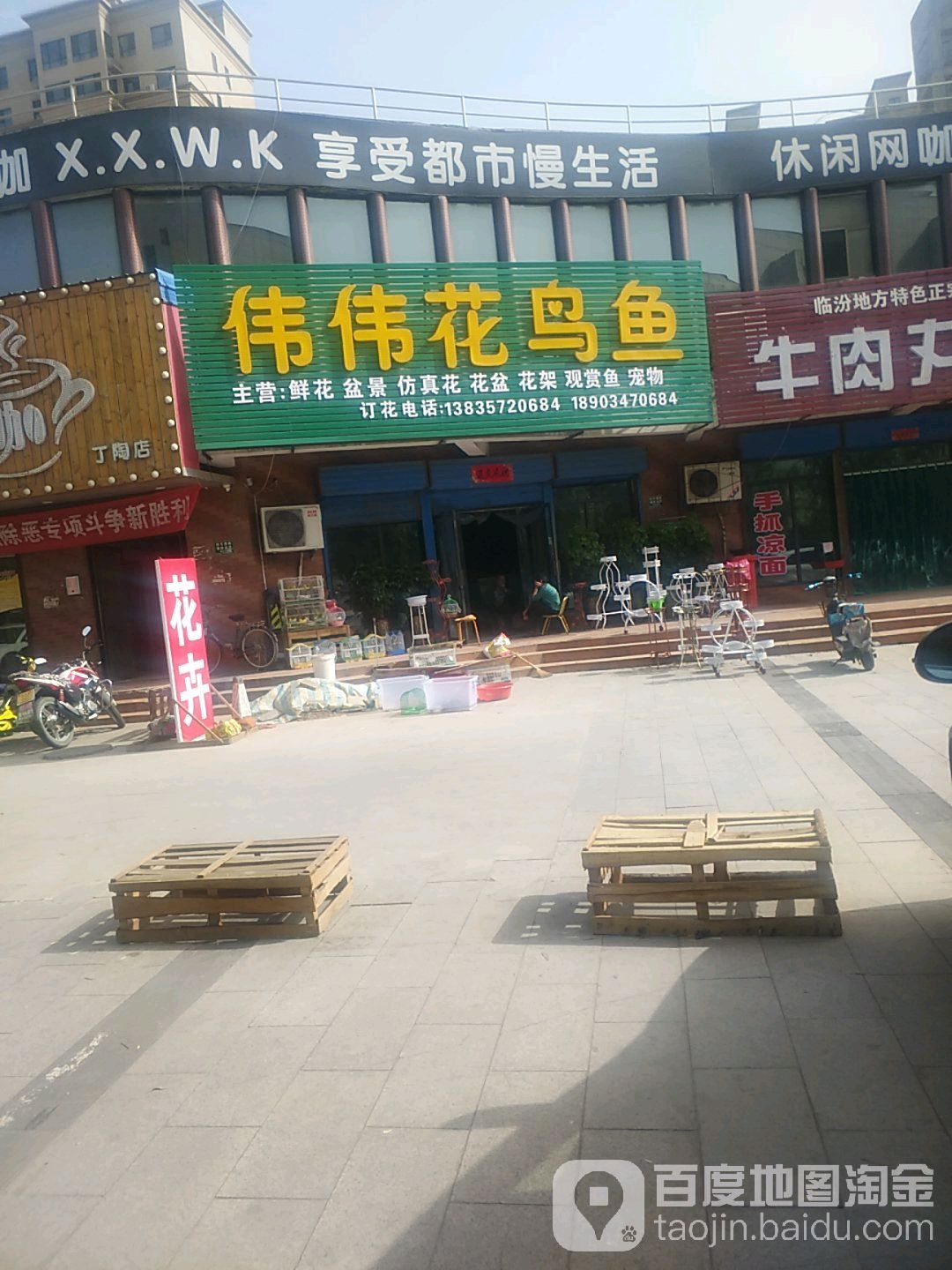 伟伟花鸟鱼