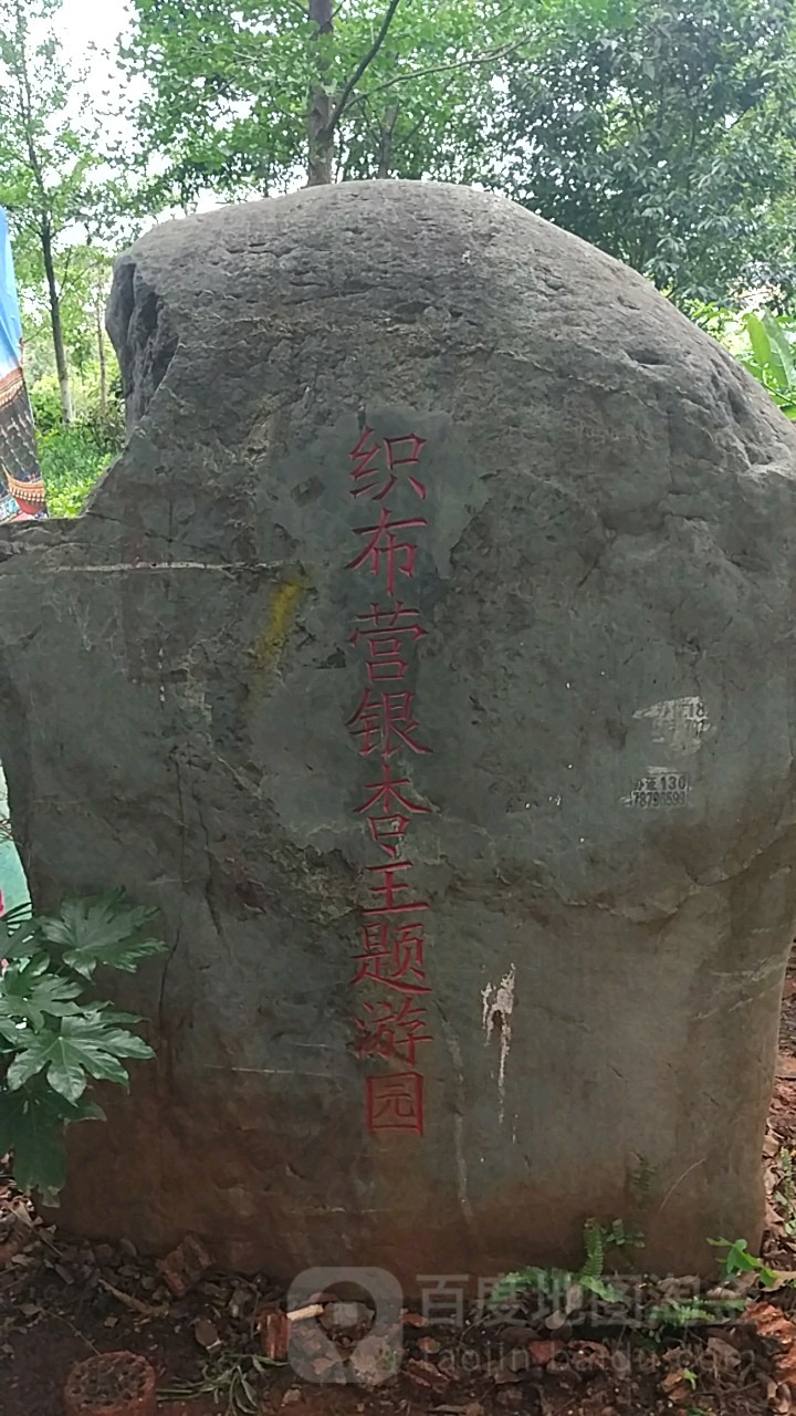 织布营银杏主题游园