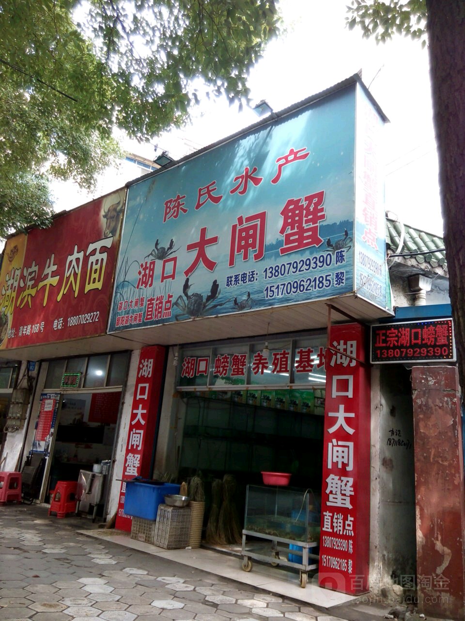 陈氏水产