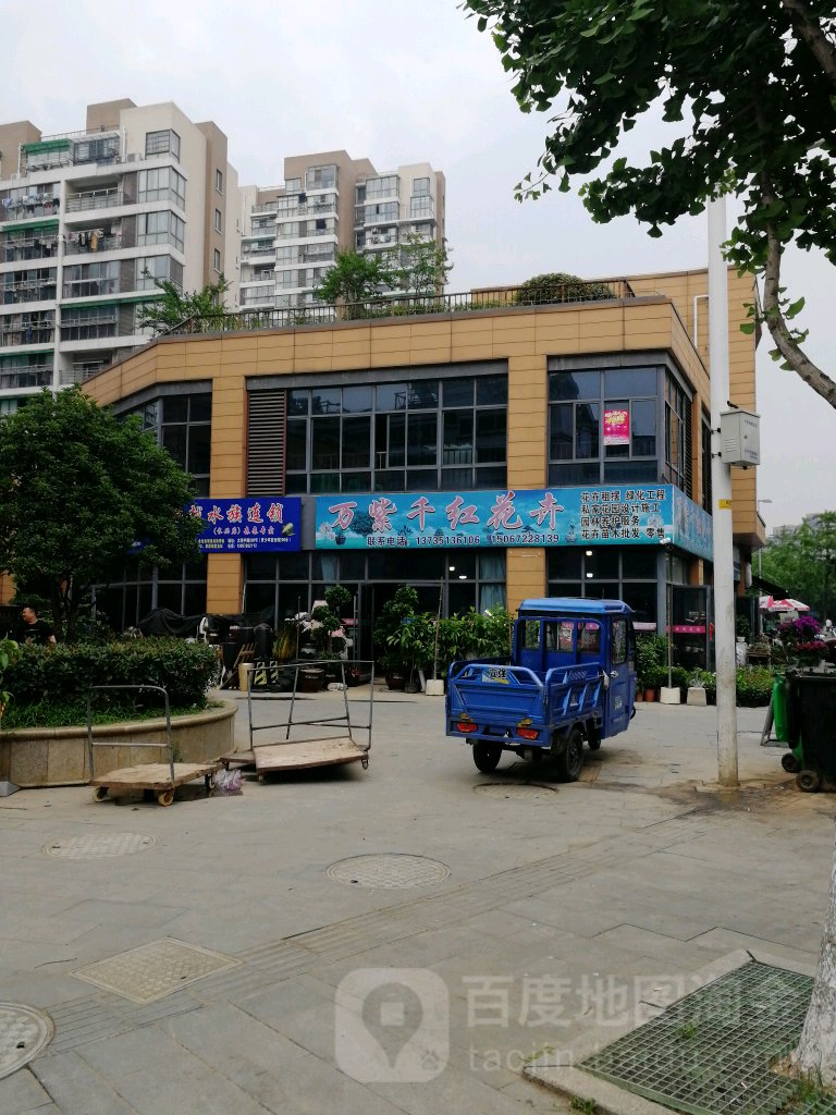 万紫千红花卉