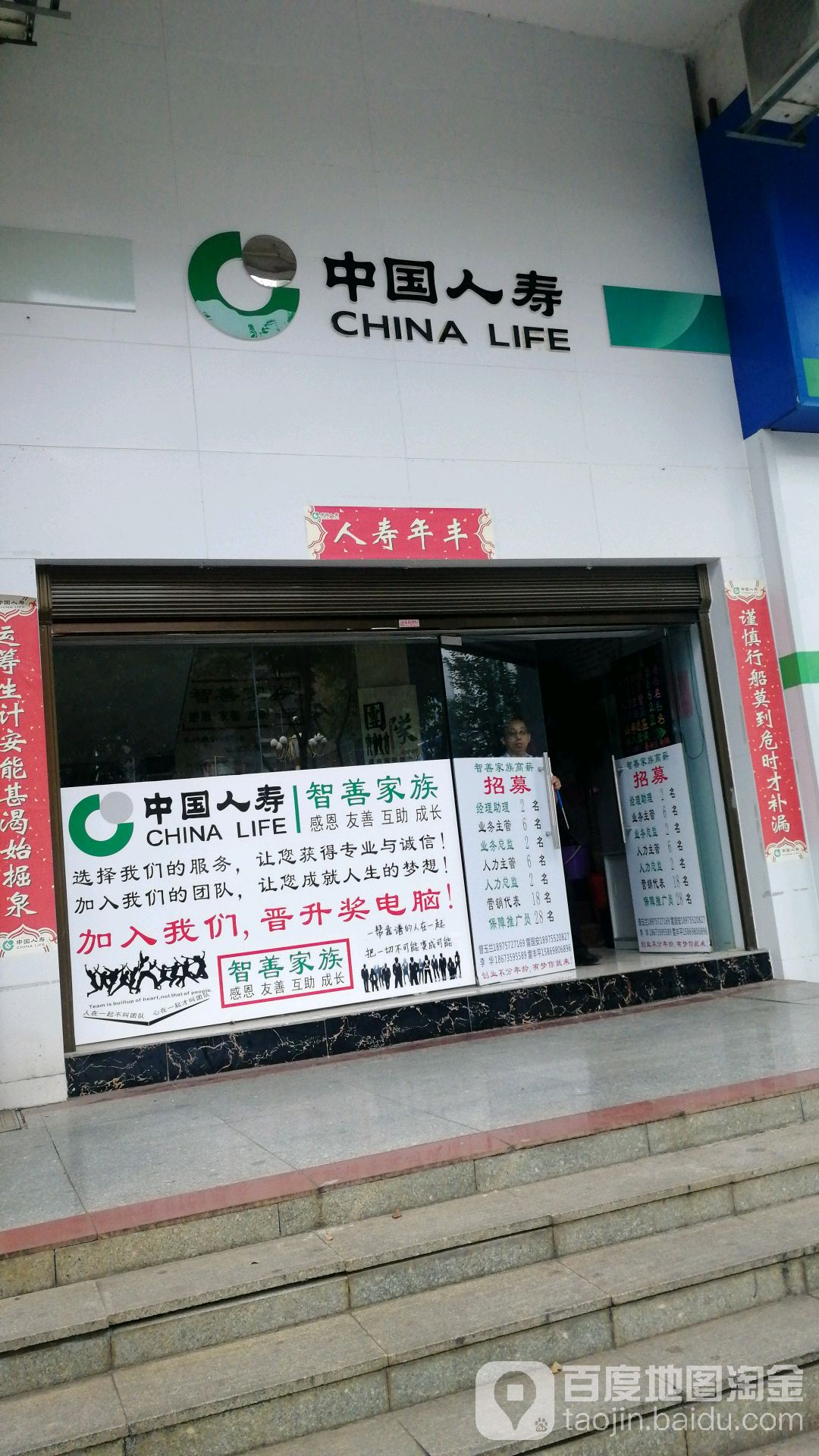 中国人寿智单家族