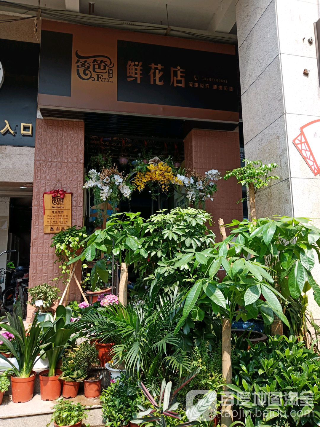 篱笆花园鲜花店