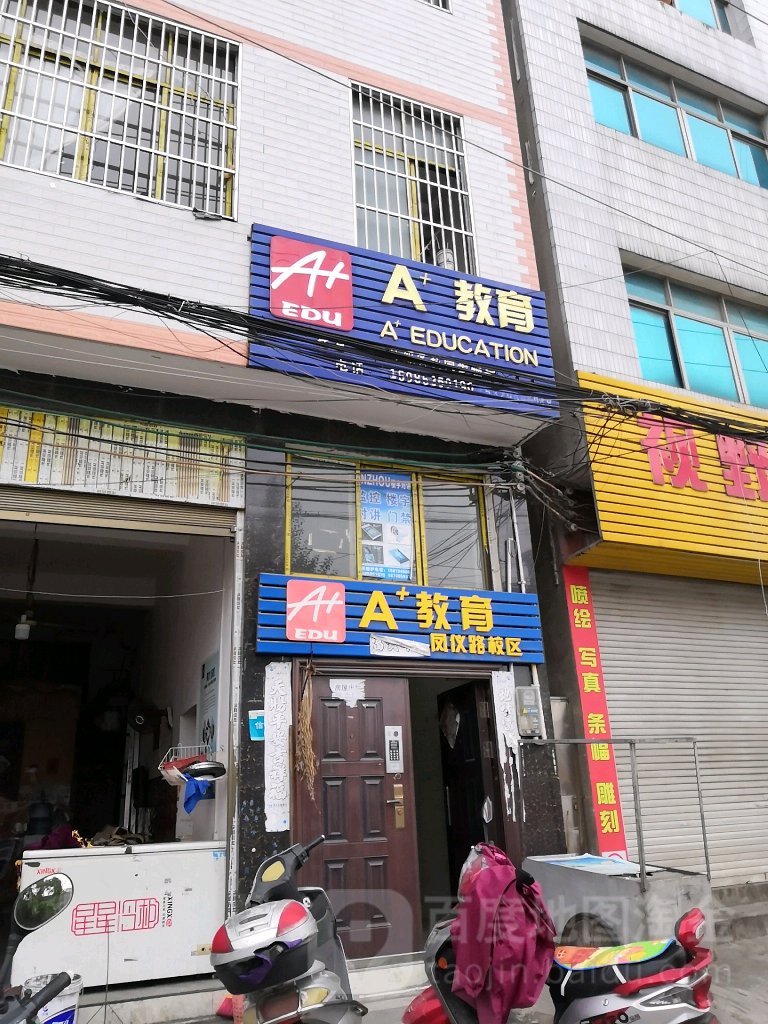 A+市教育(凤仪路校区)