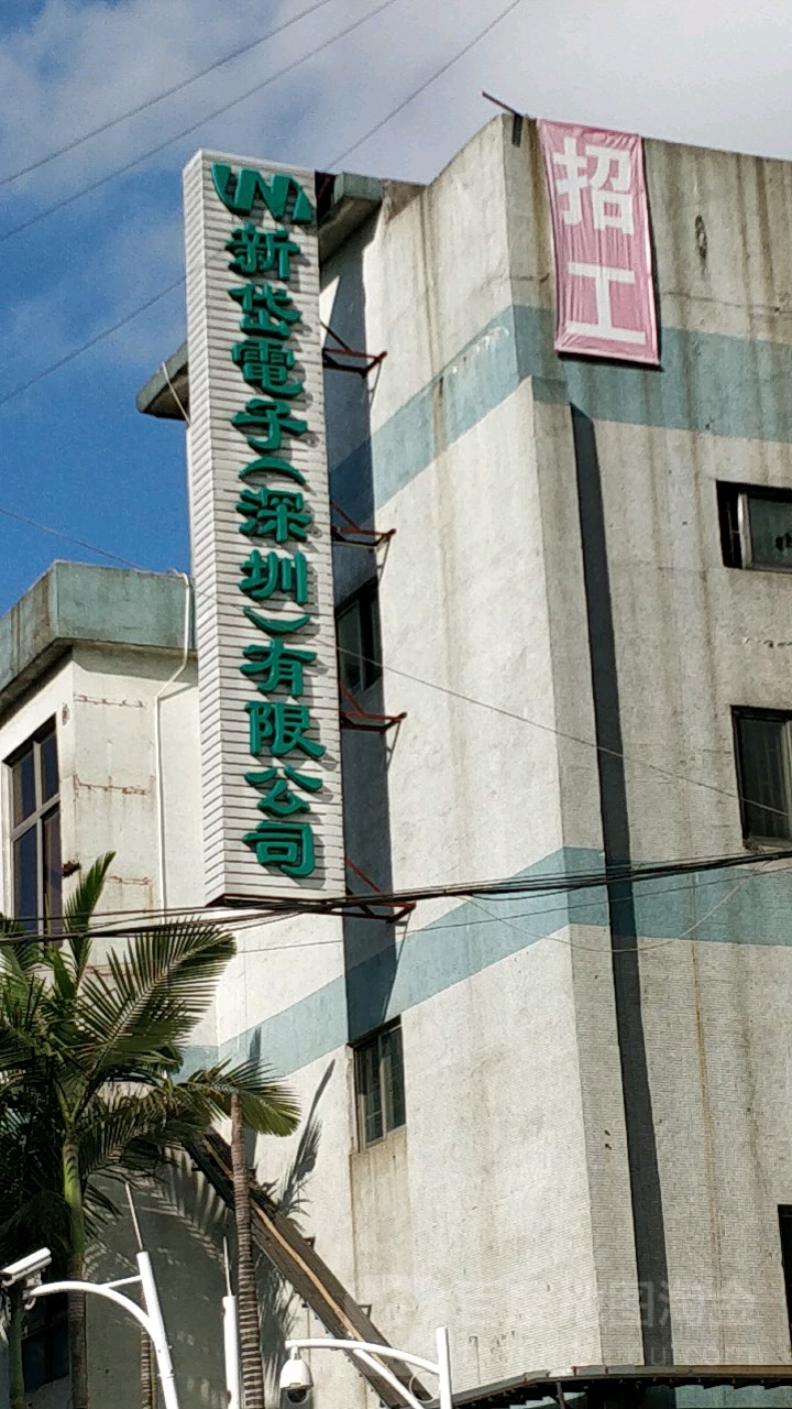 新岱