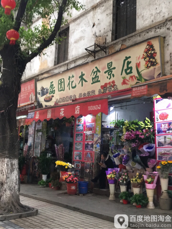 磊园花木盆景店(花木盆景店)