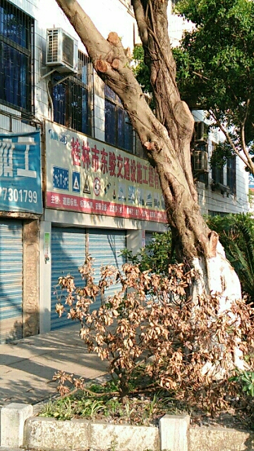 桂林市东骏交通设施工程有限公司